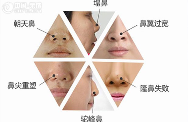 <b>  ǲW(xu)(bio)(zhn)Щ</b>
